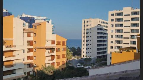Photo 3 of Apartment for sale in N/a, -1, Punta Prima, Torrevieja