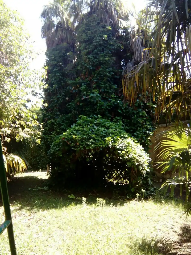 Jardín de Casa o chalet en venta en Tarazona con Calefacción, Jardín privado y Trastero