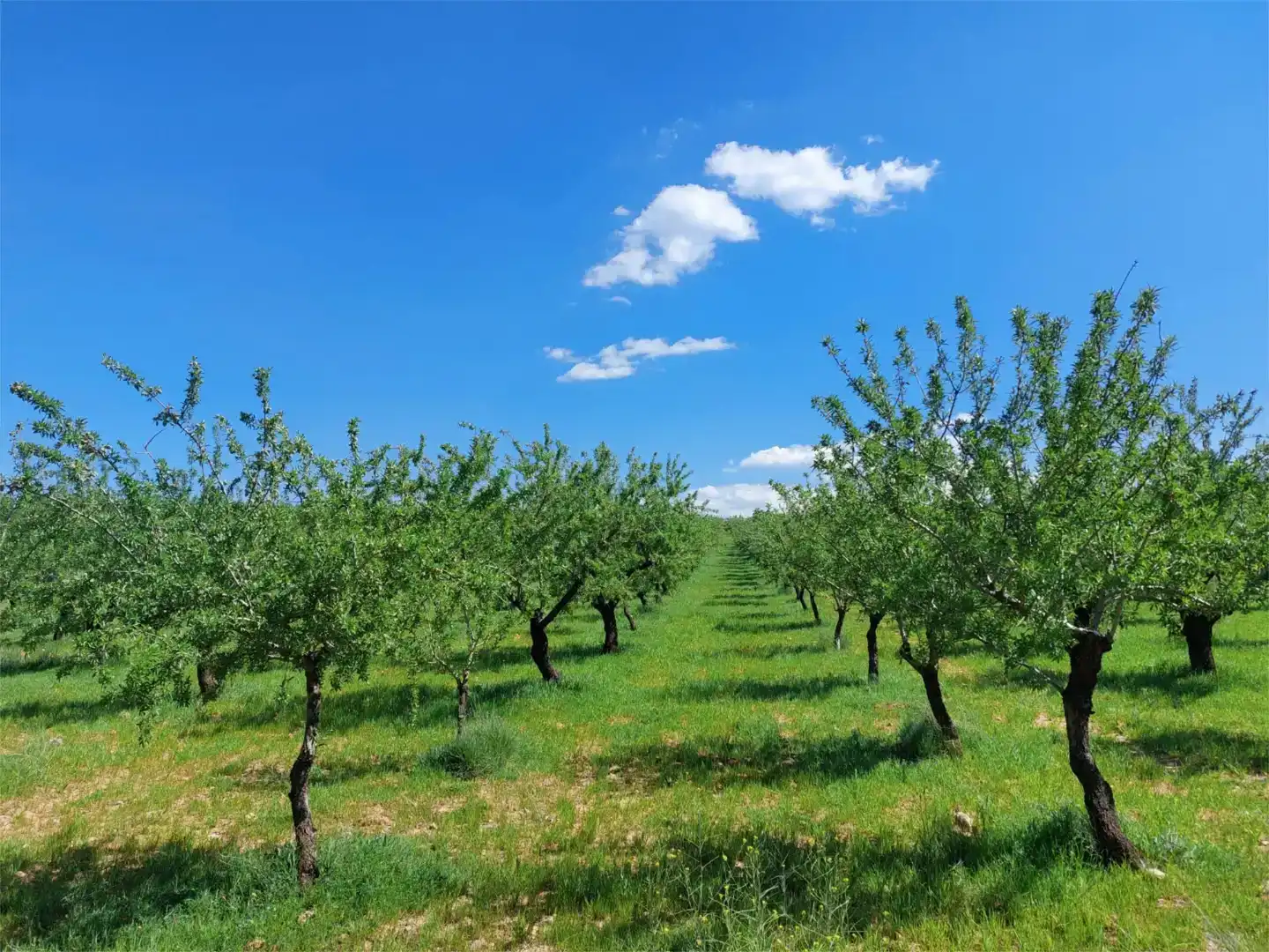 Finca rústica en venda en La Peza