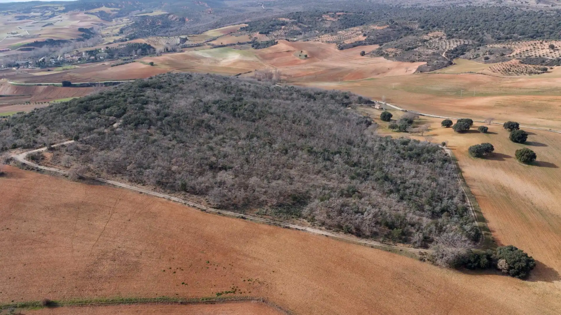 Land for sale in Arbancón