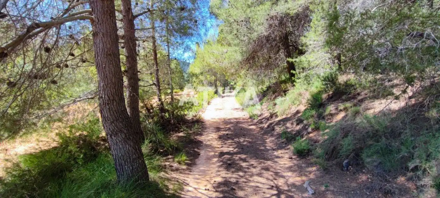 Villa à vendre à Centro, imagen 10