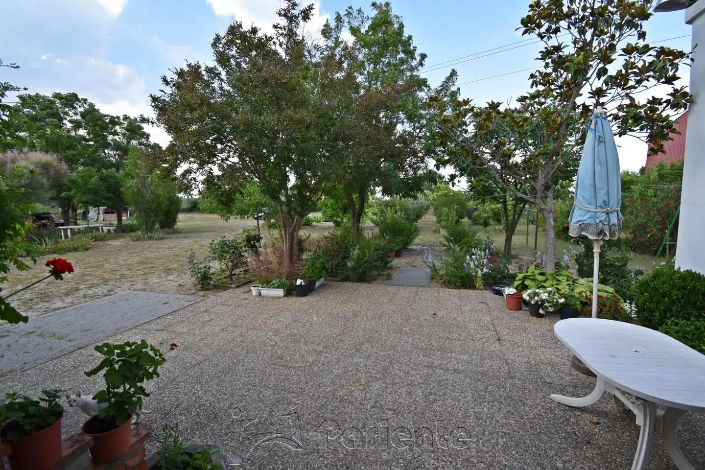 Jardí de Finca rústica en venda en Matapozuelos