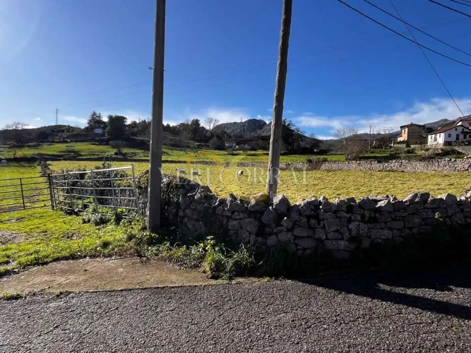 Terreno residencial en venta en Collía, imagen 8