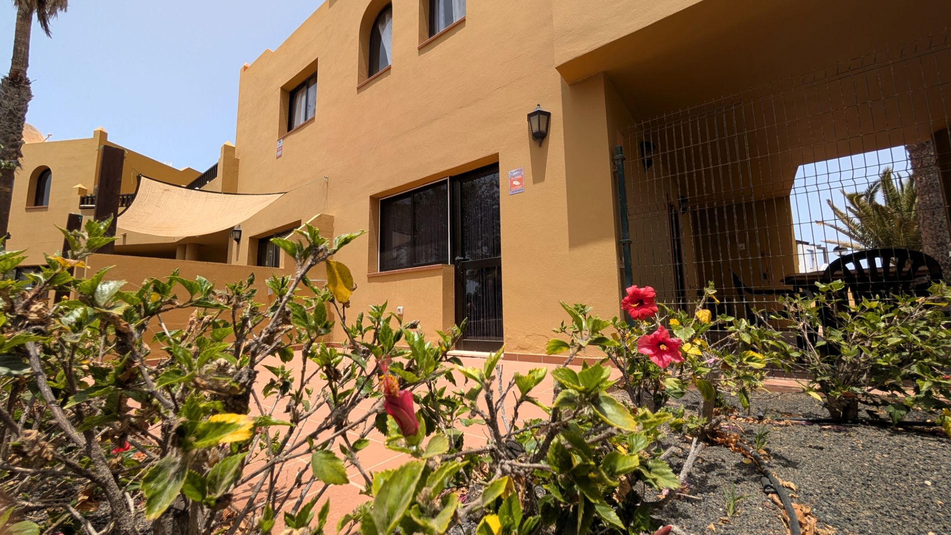 Vista exterior de Apartament en venda en La Oliva amb Terrassa i Piscina comunitària