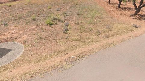 FINCA RUSTICO SECANO EN VILLAFAMES ACCESO POR CAMINO ASFALTADO, immagine 2