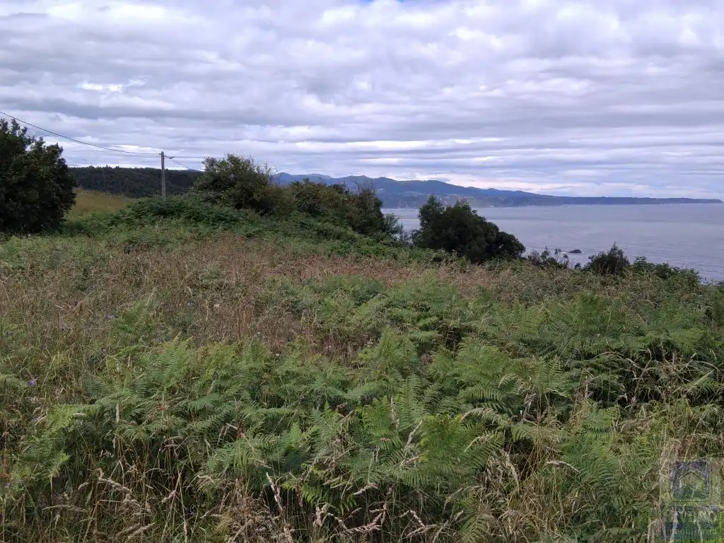Terreno rustico in vendita a Santa María del Mar - El Puerto, imagen 13