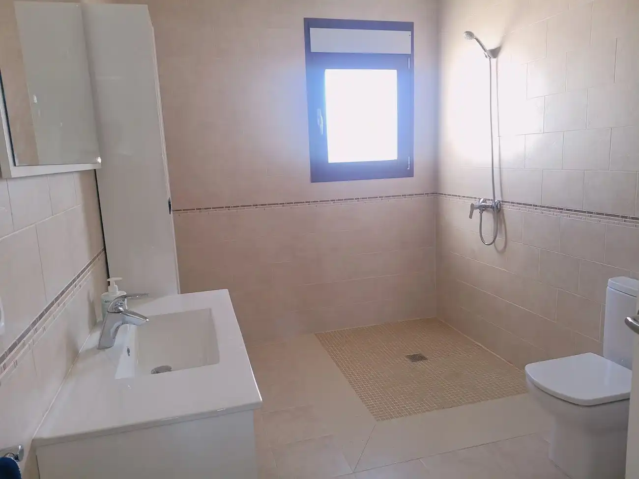 Bathroom of Country homes for sale in Torre-Pacheco  with Terrace and Furnished
