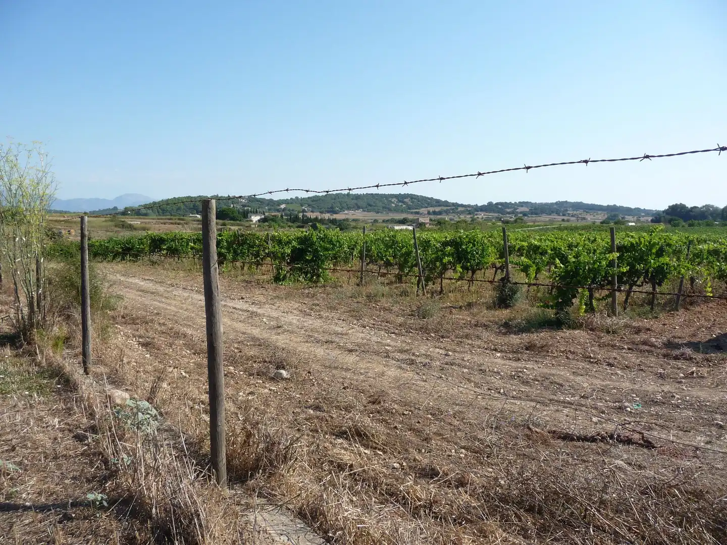 Terreno rustico in vendita a Algaida, imagen 5