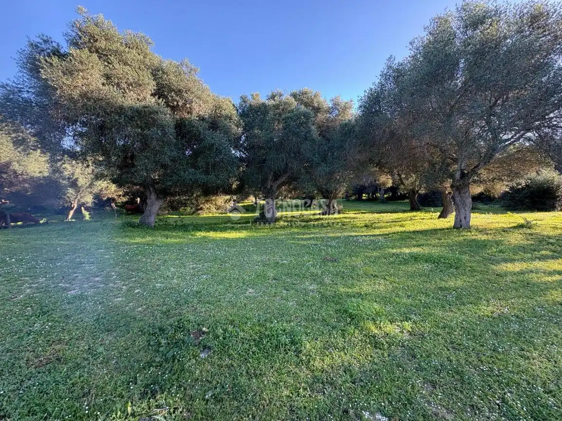 Terreno en venta en Barbate
