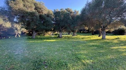 Foto 3 de Terreno en venta en Zahora, Barbate