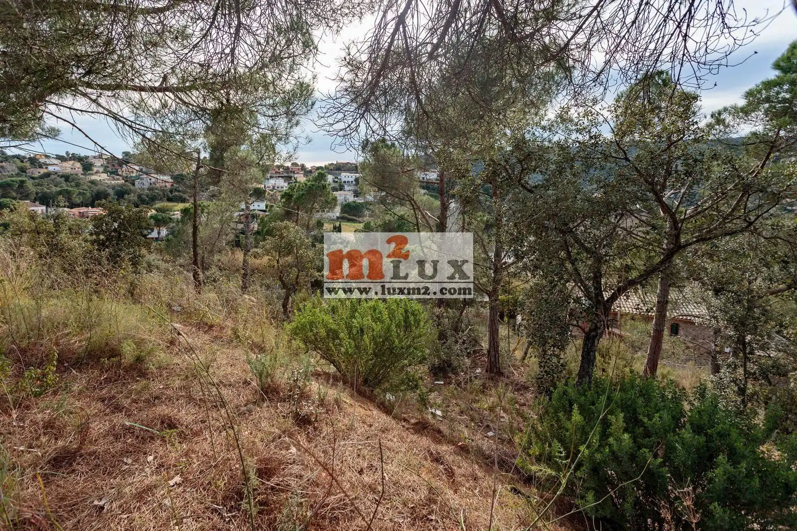 Terreny residencial en venda a Carrer Eucaliptus 14, imagen 5