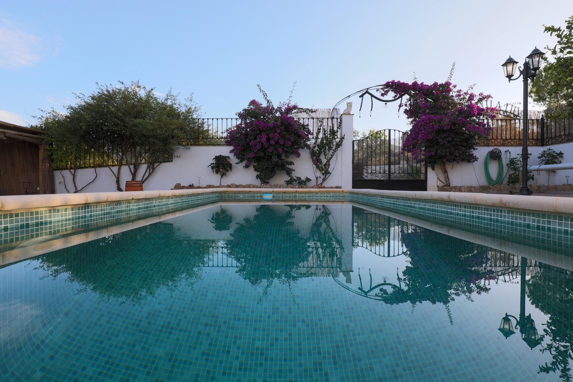Piscina de Casa o xalet en venda en Albuñuelas