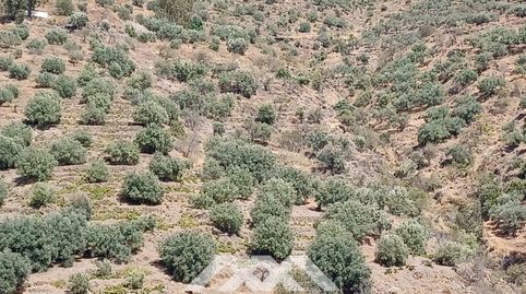 Foto 4 von Grundstücke zum Verkauf in Calle Bentomiz, Arenas, Málaga