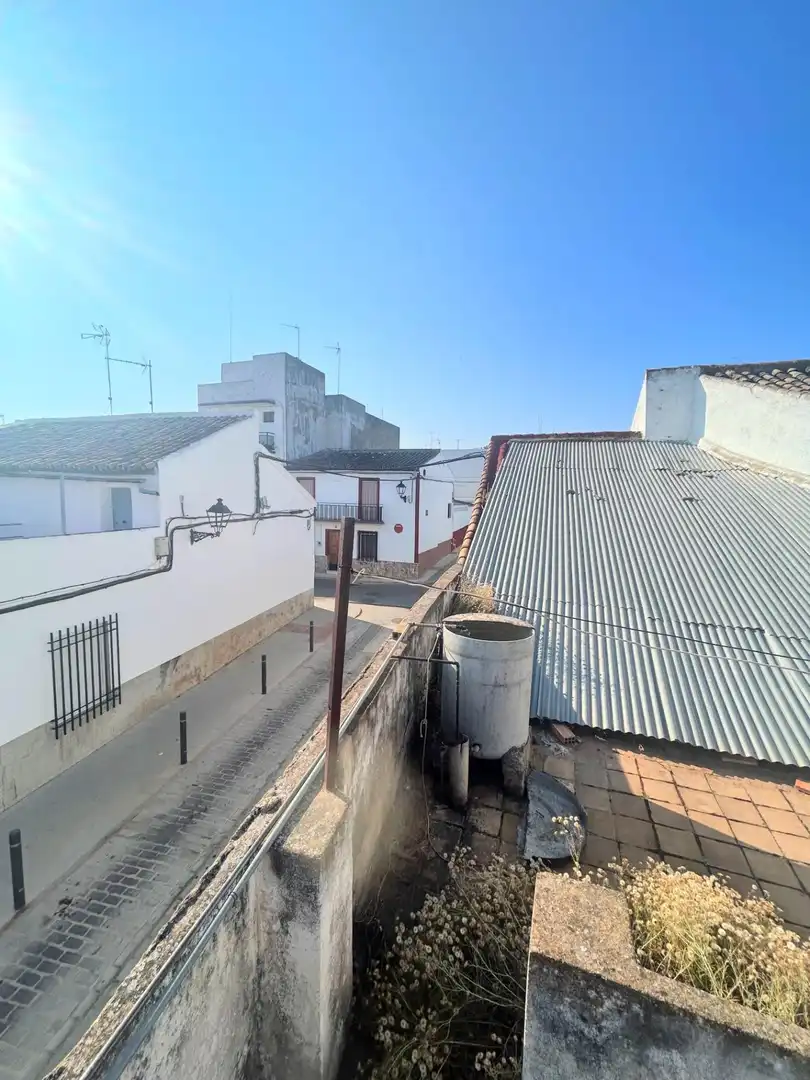 Vista exterior de Casa o chalet en venta en Alcolea del Río