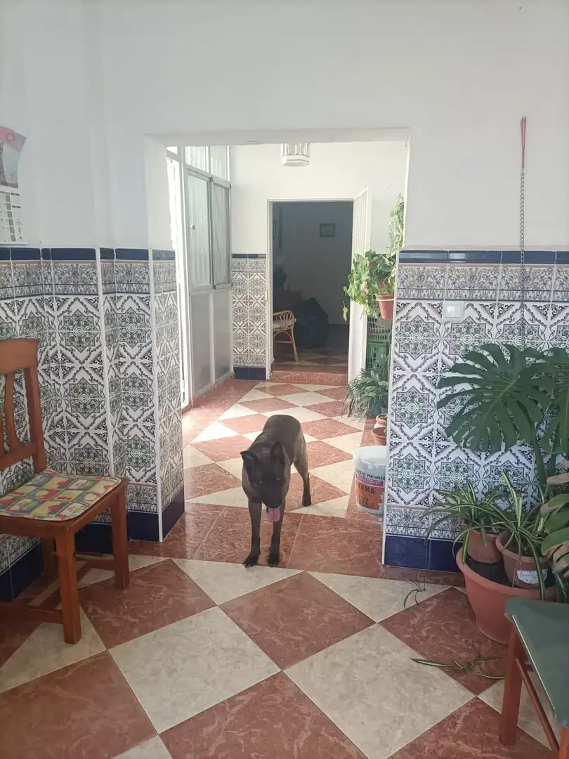 Casa o xalet en venda en San Fernando amb Jardí privat