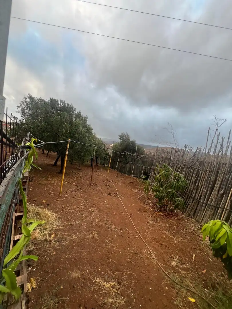 Rural land for sale in Ingenio pueblo, imagen 40