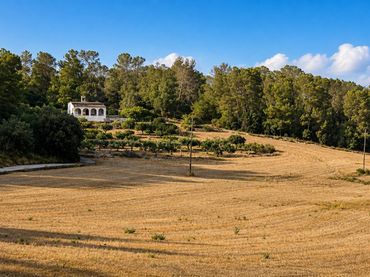 Terreno rústico en venta en Algaida
