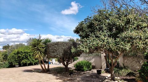 Foto 4 de Finca rústica en venta en N/a, -1, El Palmar, Murcia Capital