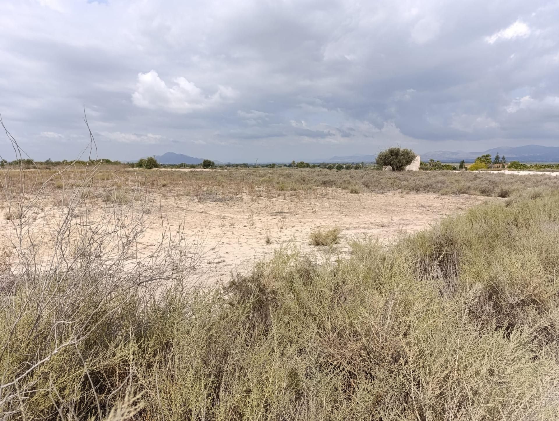 Land for sale in Elche / Elx