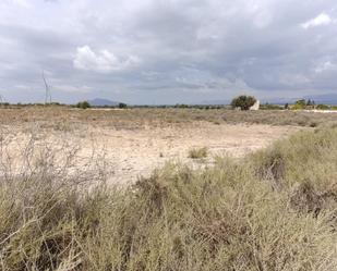 Land for sale in Elche / Elx
