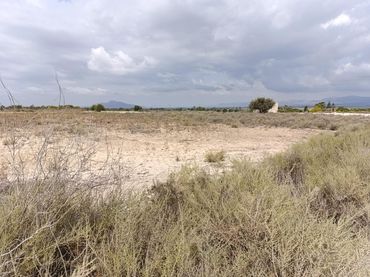 Terreno rustico in vendita a La Marina