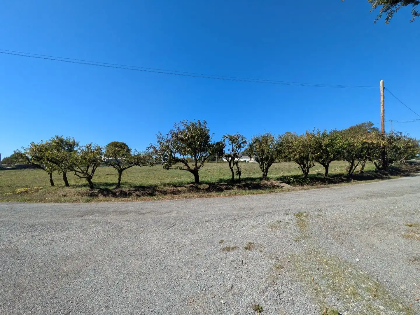 Casa rústica amb jardí en venda a avda pastoriza 12, imagen 38