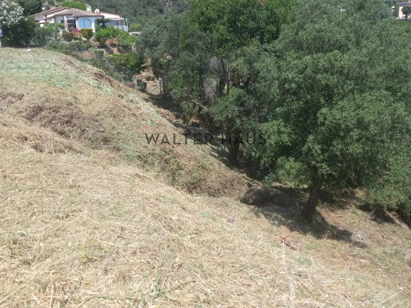 Terreny residencial en venda a Carrer de l'Anoia, imagen 12