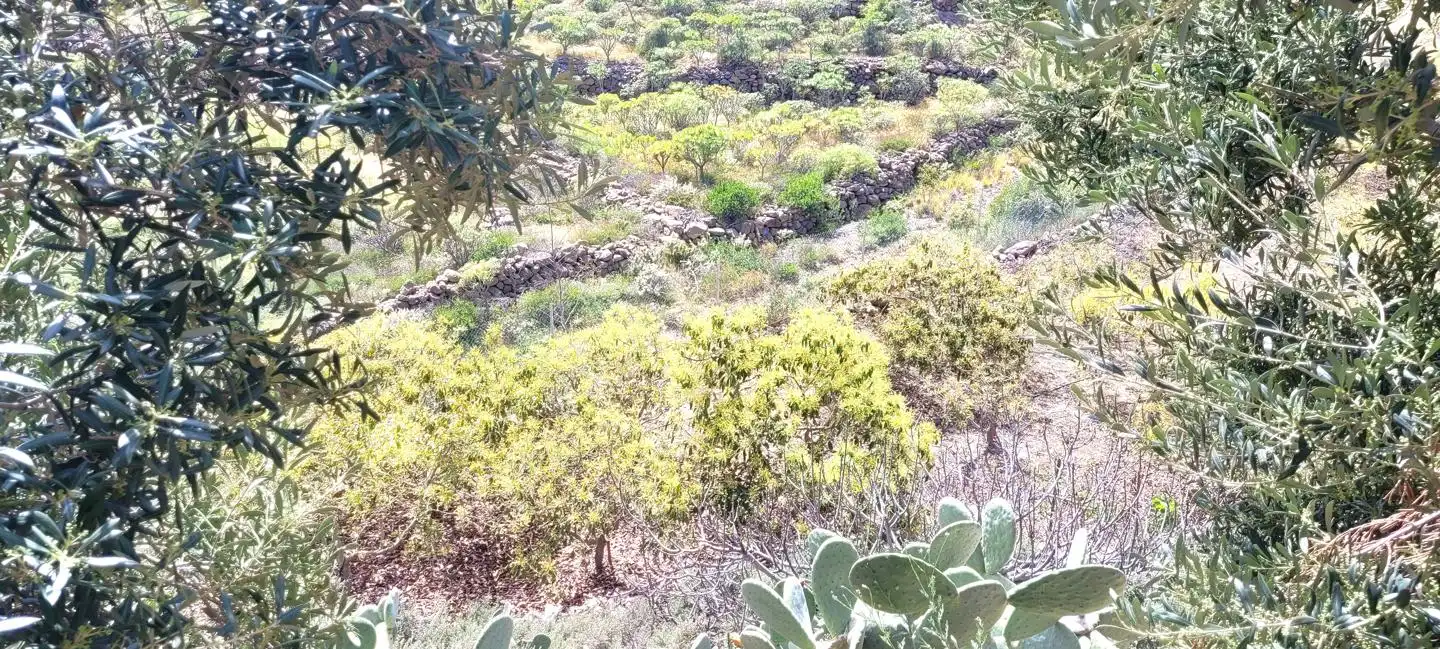 Terreno rustico in vendita a Arico, imagen 20