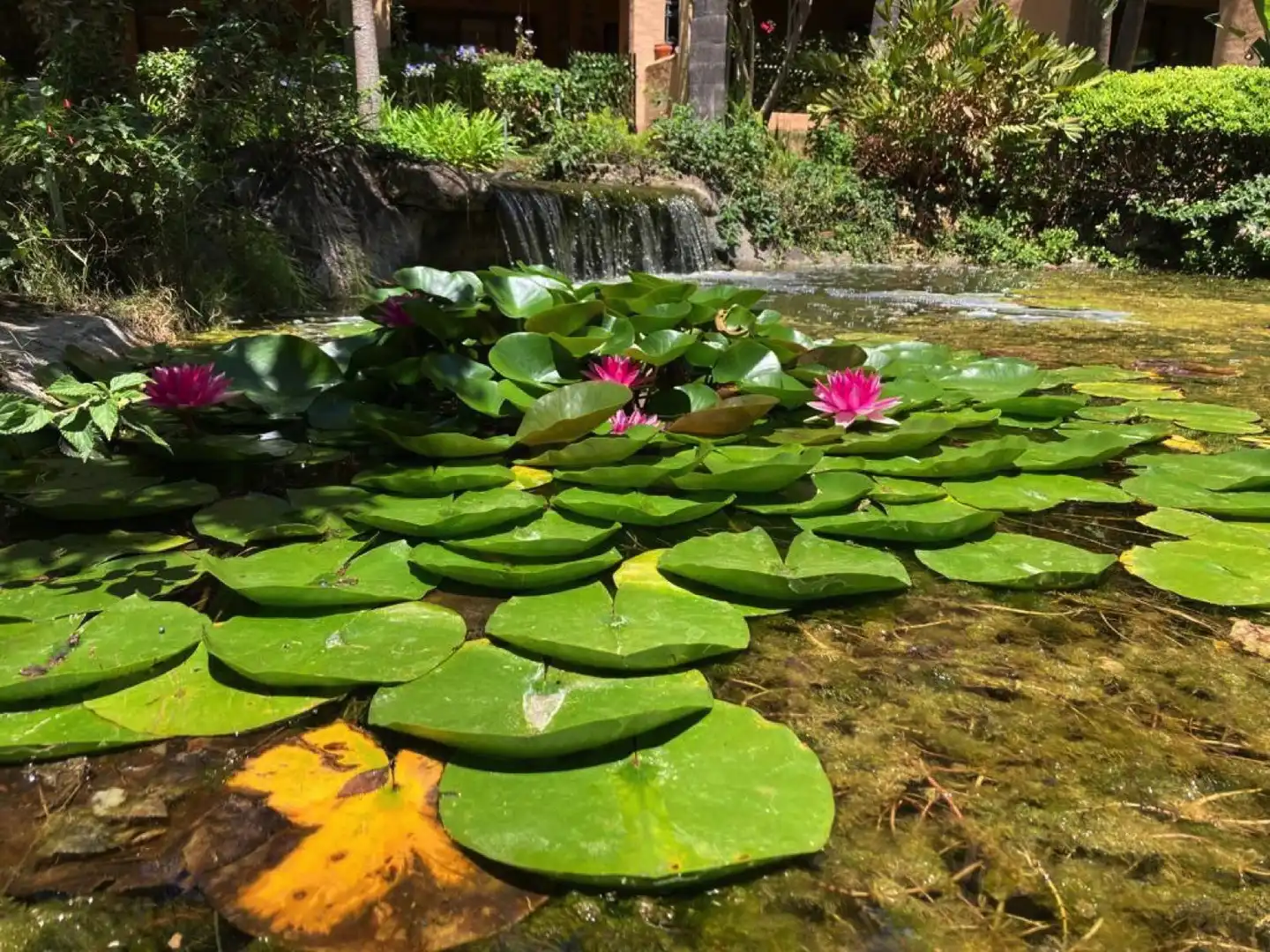 Habitatge amb piscina en venda a Benamara - Atalaya, imagen 13