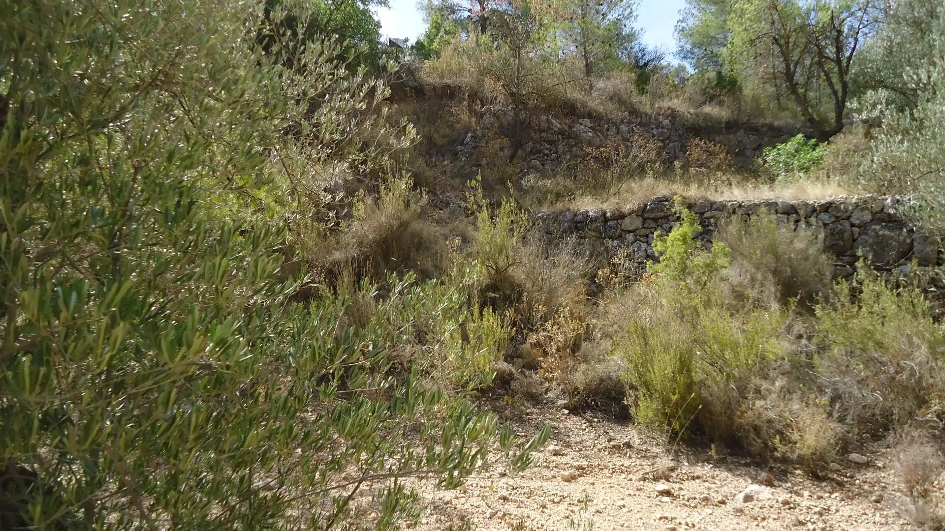 Lands and plots for sale in Abanilla, imagen 12