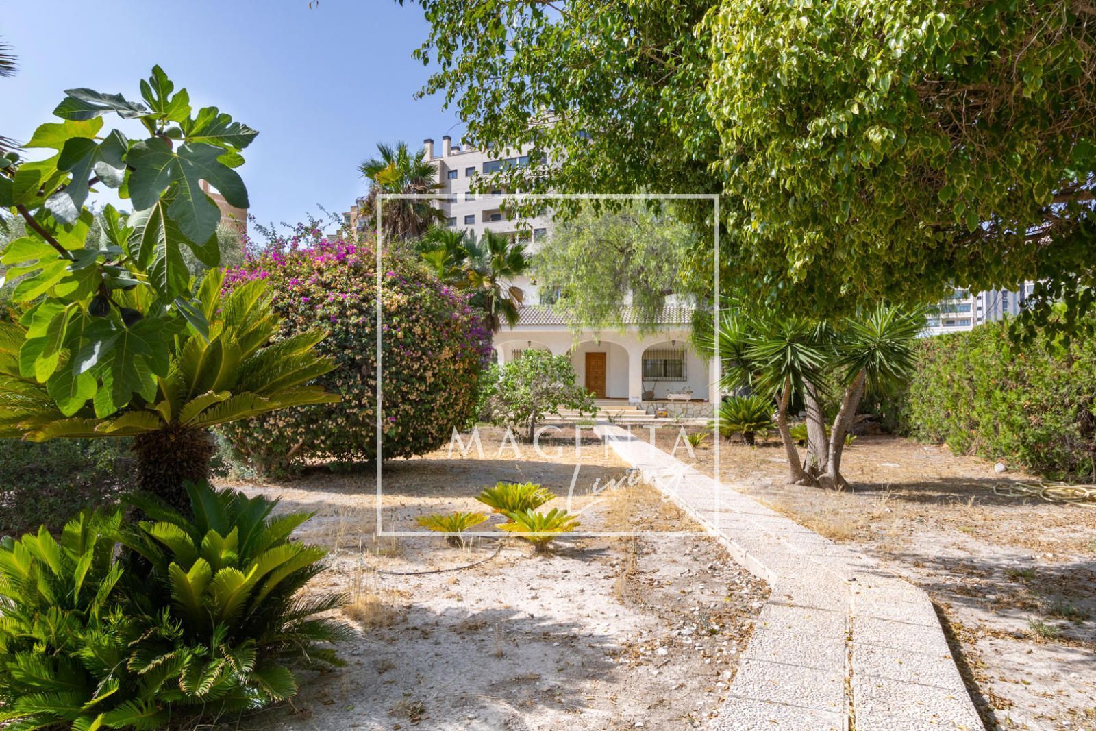 Casa o chalet en venta en Tabarca, Playa Muchavista