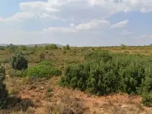 Rural land for sale in Polígono Industrial, imagen 6