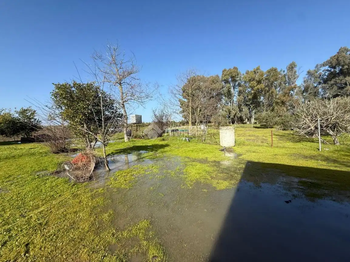 Terreno en venta en Arahal