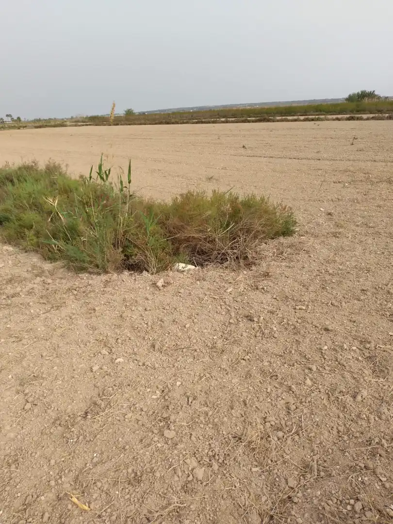 Terreno en venta en Elche / Elx