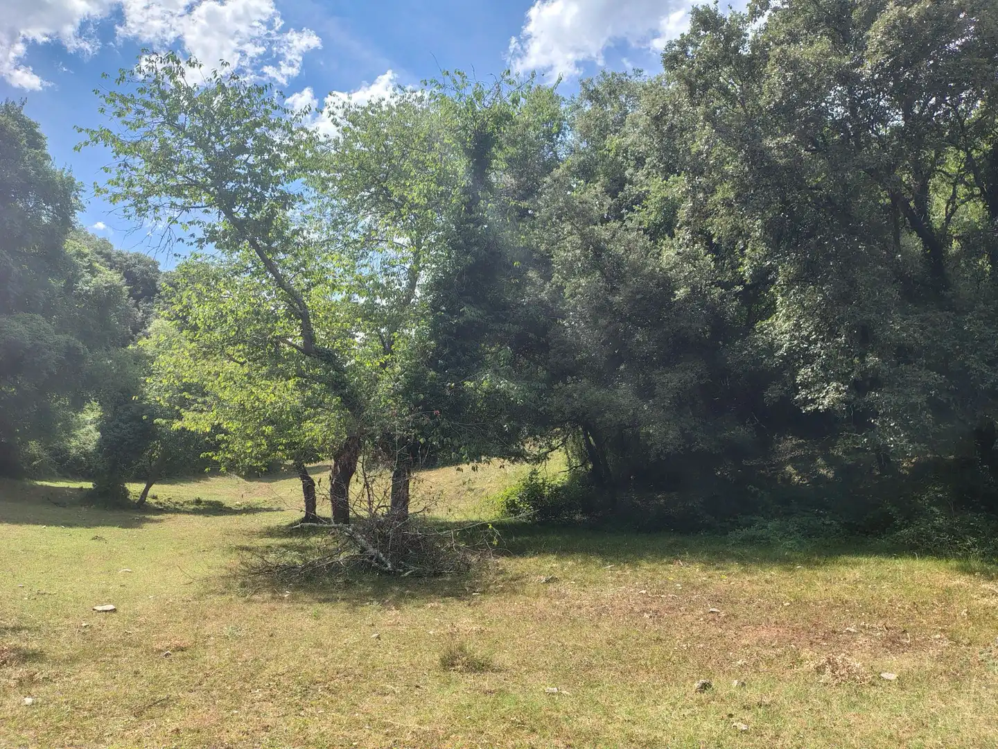 Finca rústica en venda en Urduña / Orduña