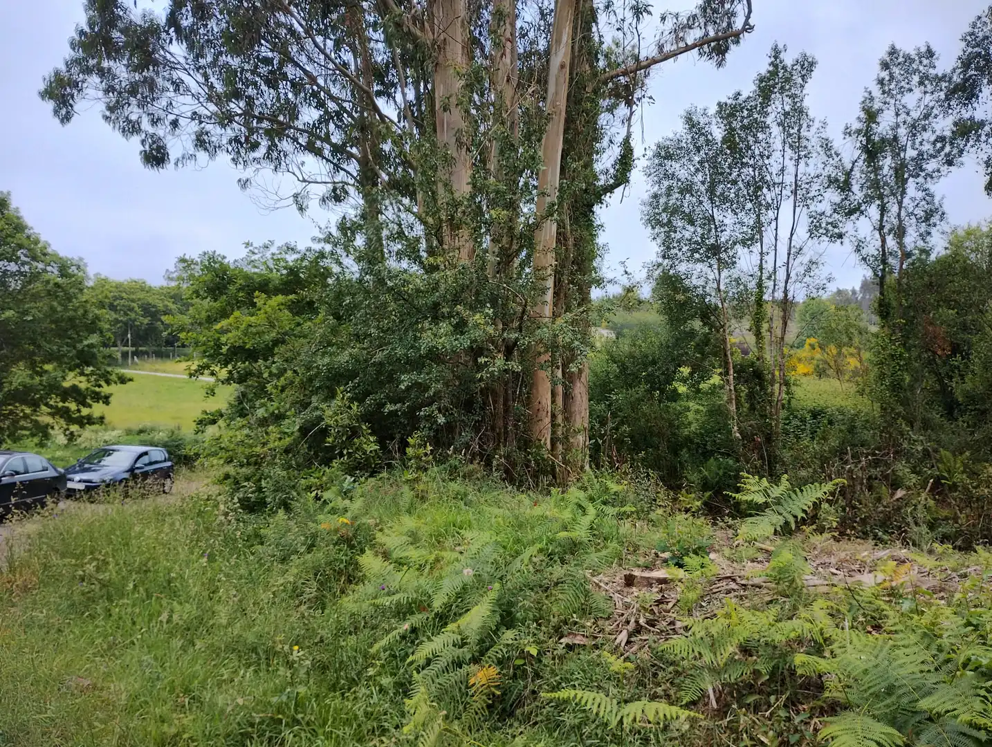 Terrenys i solars en venda a Moeche, imagen 4