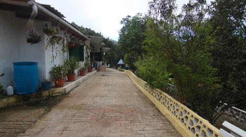 Photo 4 of Country house for sale in Valleseco, Las Palmas