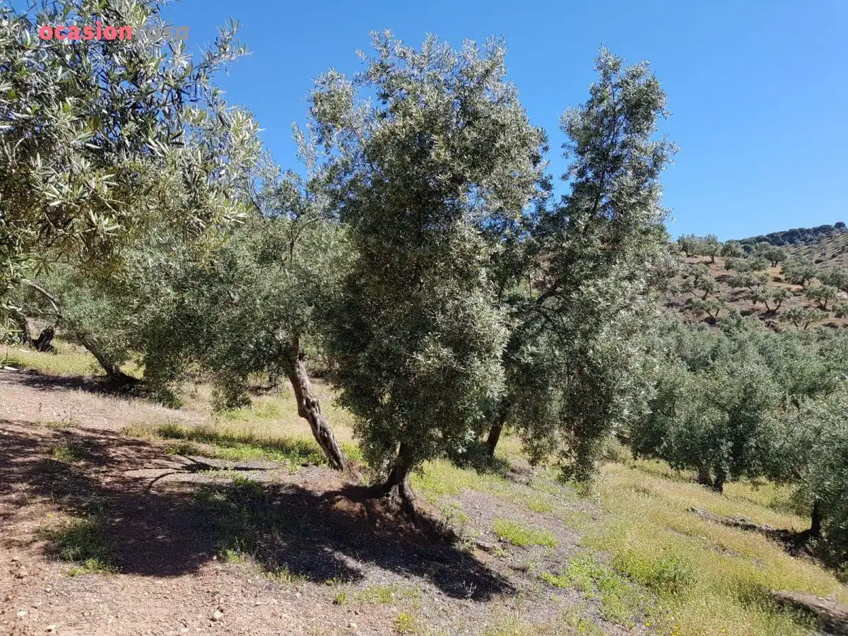 Finca rústica en venta en Villanueva de Córdoba con Jardín privado, Trastero y Amueblado