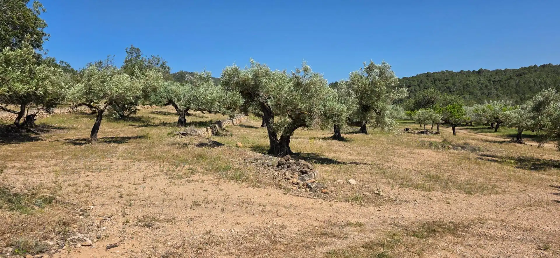 Maison rustique à vendre à Tivissa, imagen 33