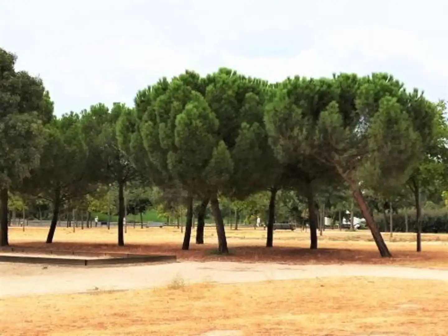 Vista exterior de Casa o chalet en venta en Madrid con Jardín privado, Terraza y Trastero