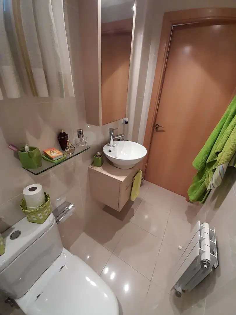 Bathroom of Detached homes for sale in Olot  with Heating, Terrace and Furnished