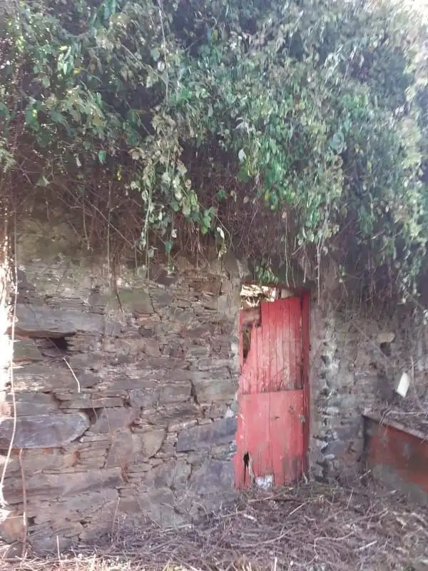 Finca rústica en venta en Cedeira con Jardín privado