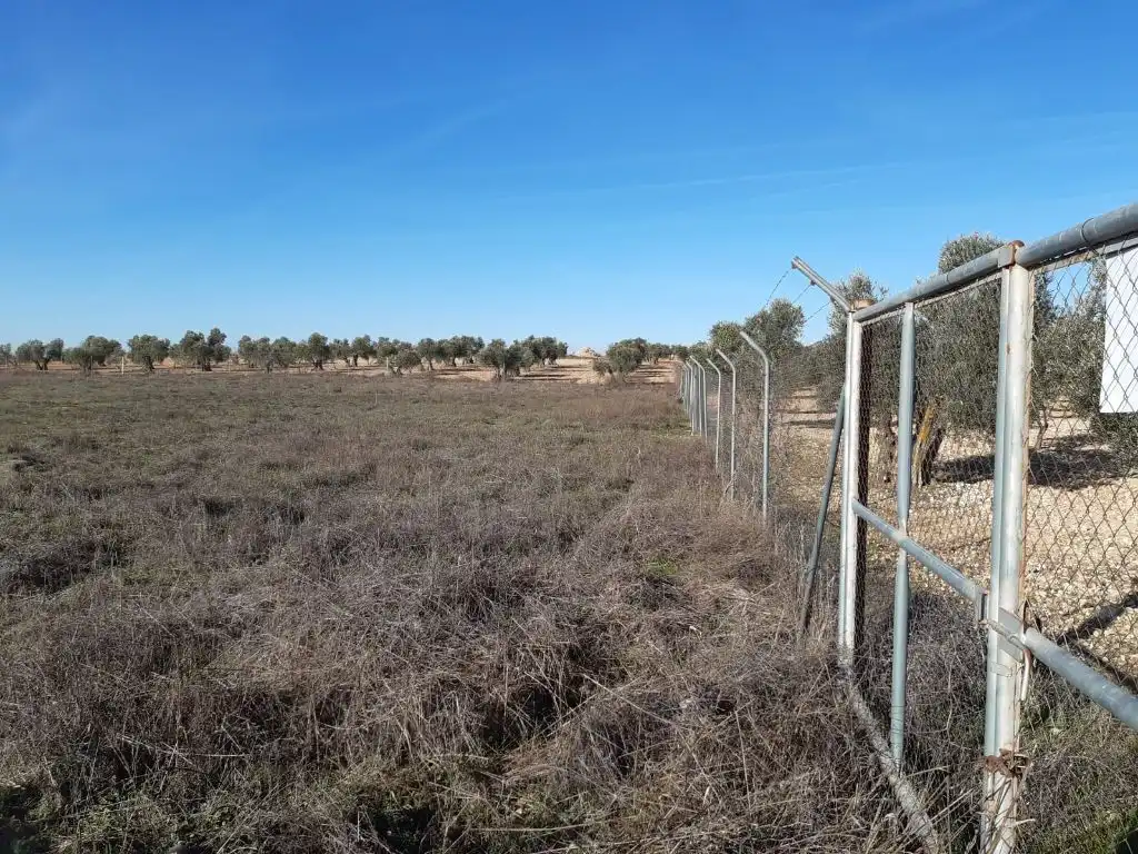 Terreno en venta en Arenas de San Juan 