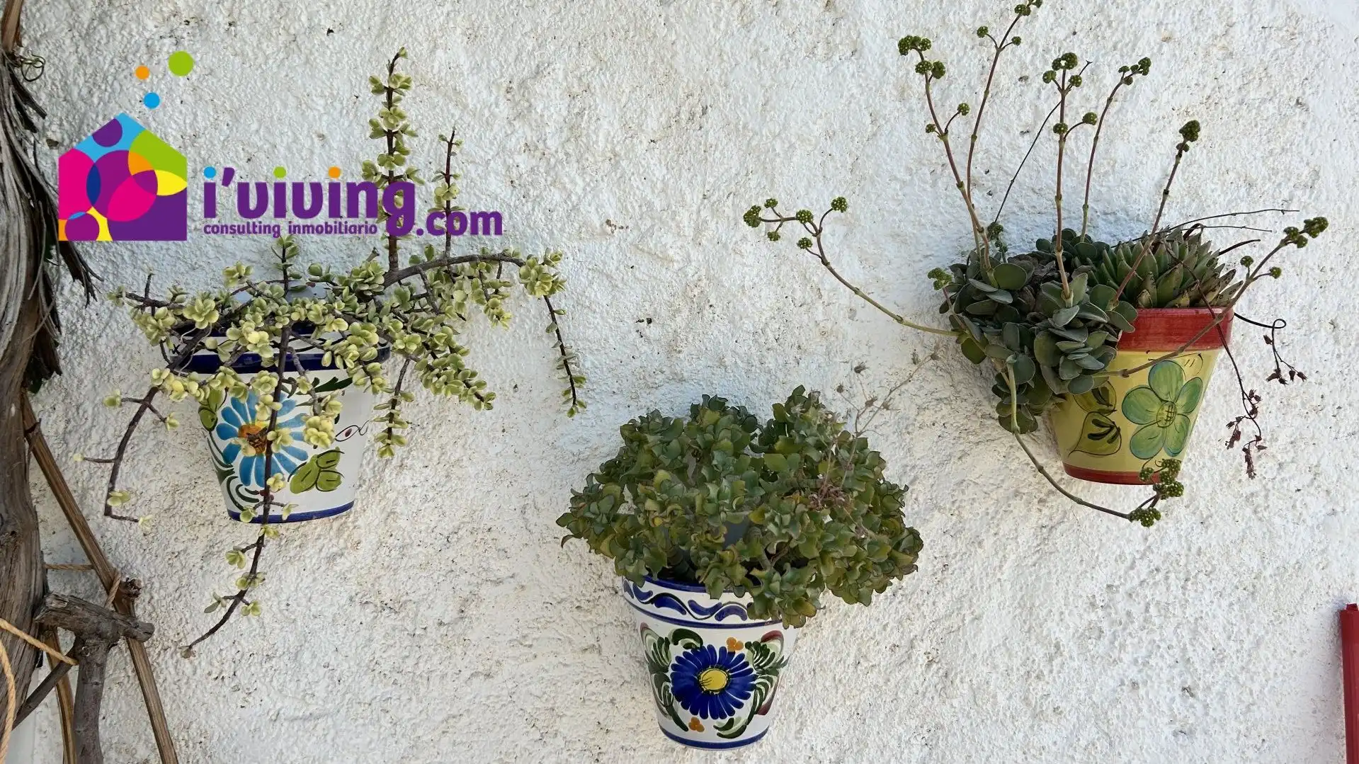Jardín de Finca rústica de alquiler en Cantoria