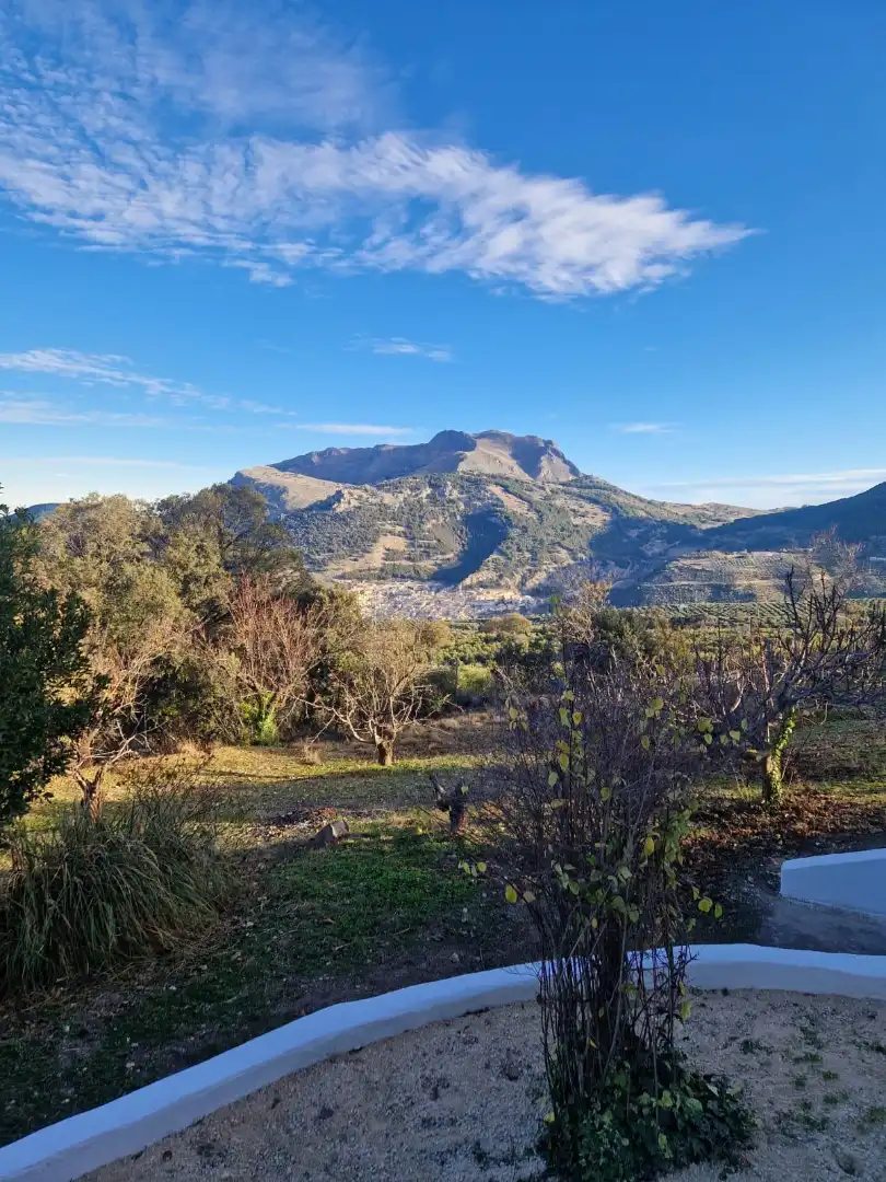 Vista exterior de Finca rústica en venta en Torres con Jardín privado