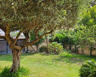 Casa o xalet de lloguer a Manacor