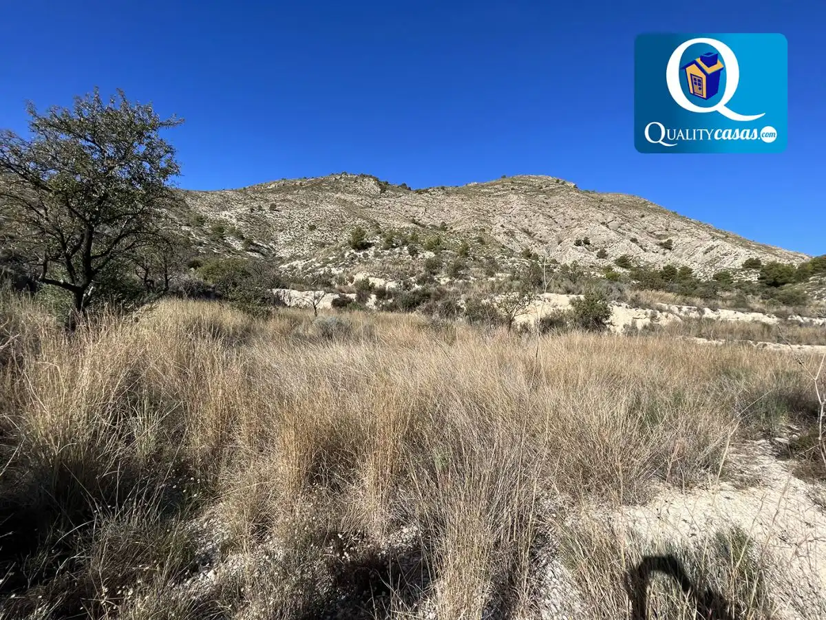 Terrenos y solares en venta en Orxeta, imagen 2