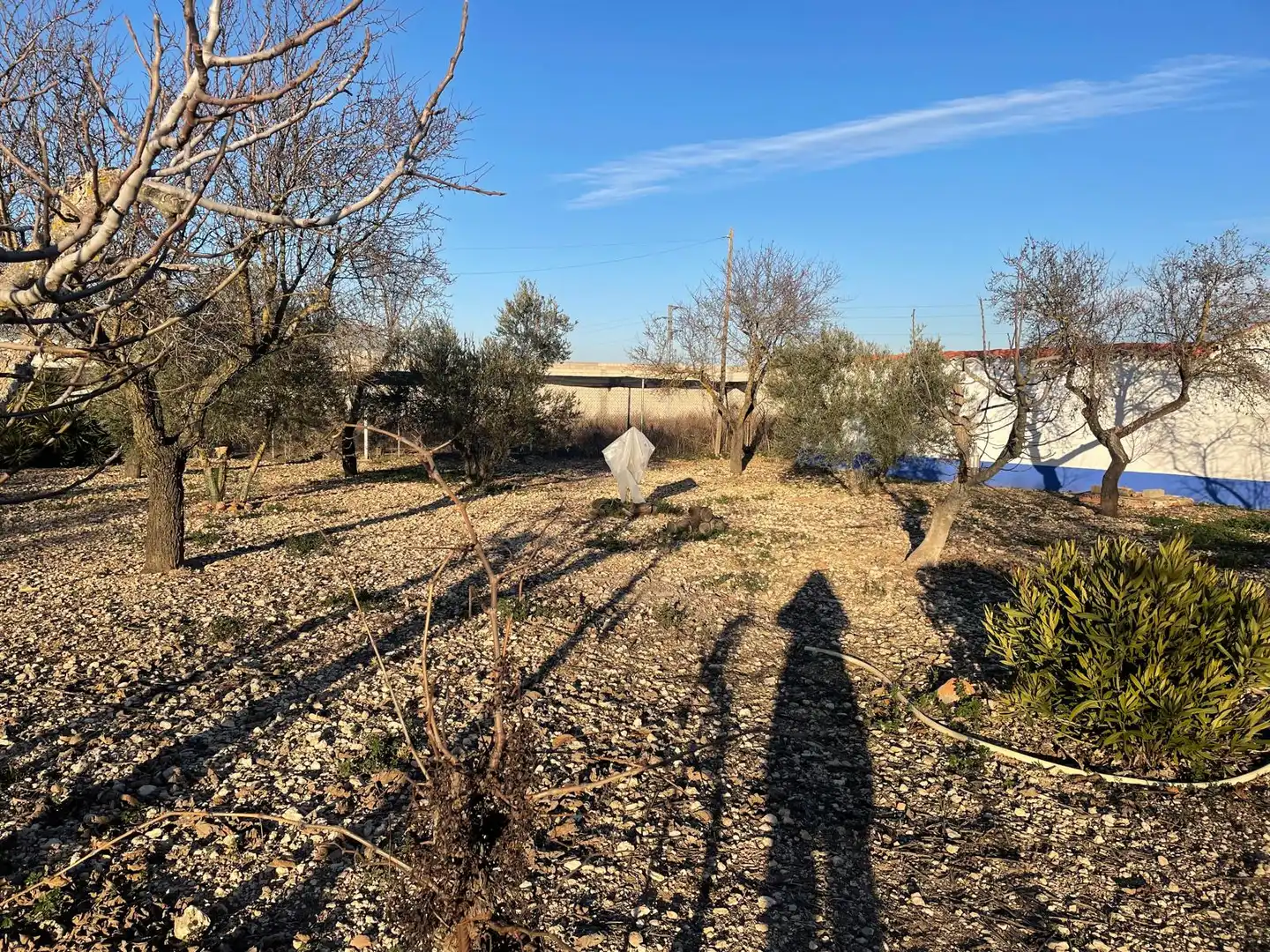 Finca rústica en venta en Ciudad Real con Amueblado