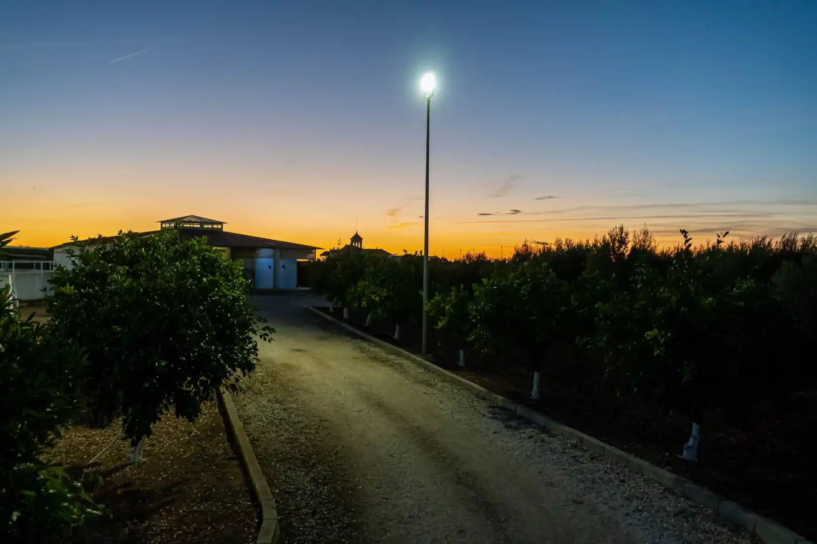 Vista exterior de Finca rústica en venta en Carmona con Calefacción, Jardín privado y Terraza