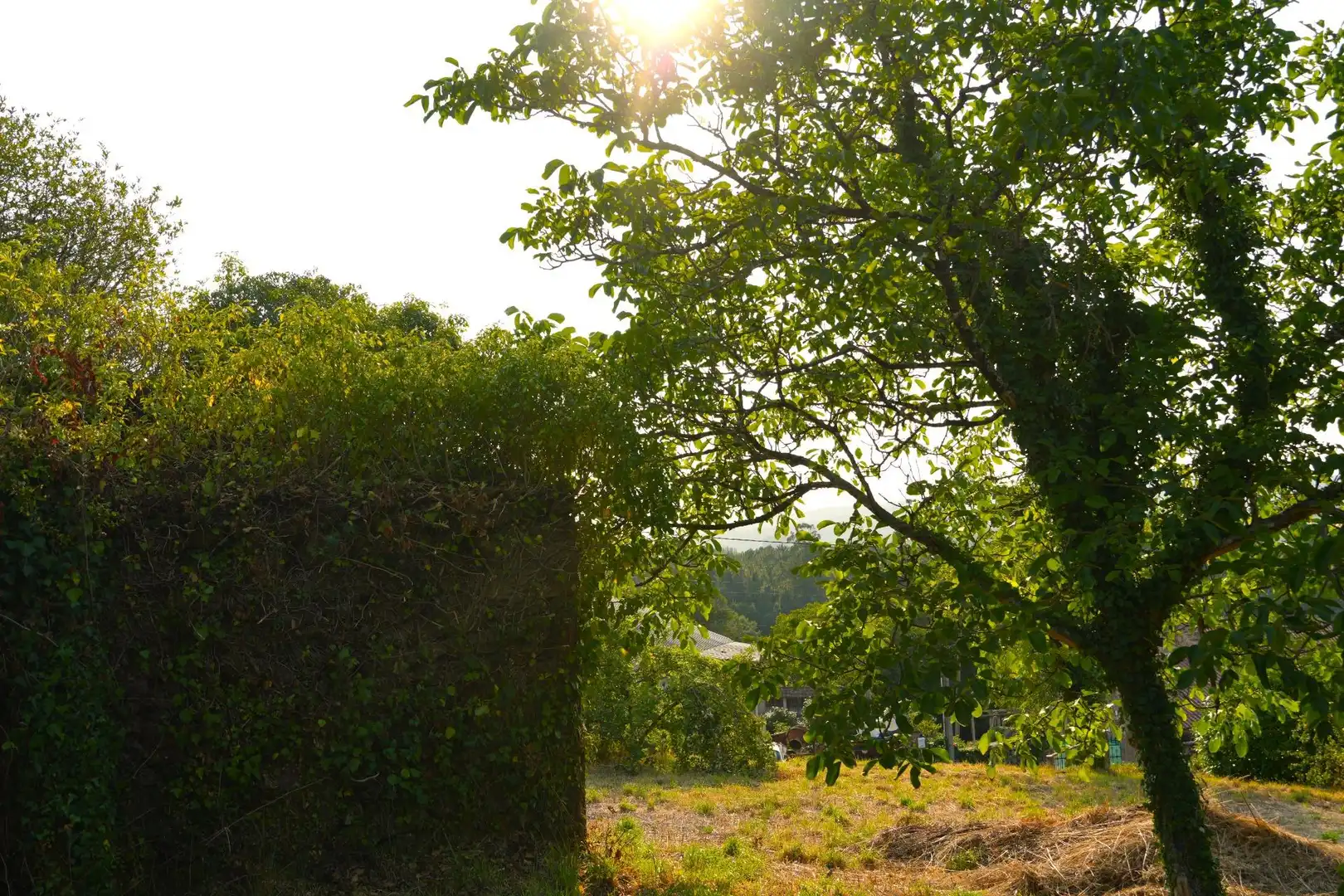 Lands and plots for sale in Lugar Estrada 521, imagen 9